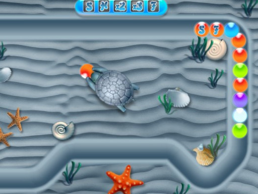 Hasty Turtle Game