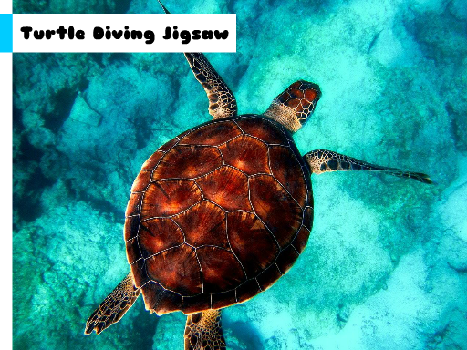 Turtle Diving Jigsaw Game