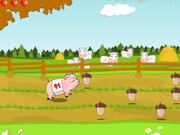 Play Pig Race Pig Race Game Online