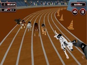 Real Dog Racing Simulator Game Online