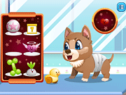 Stray Dog Care Game Online